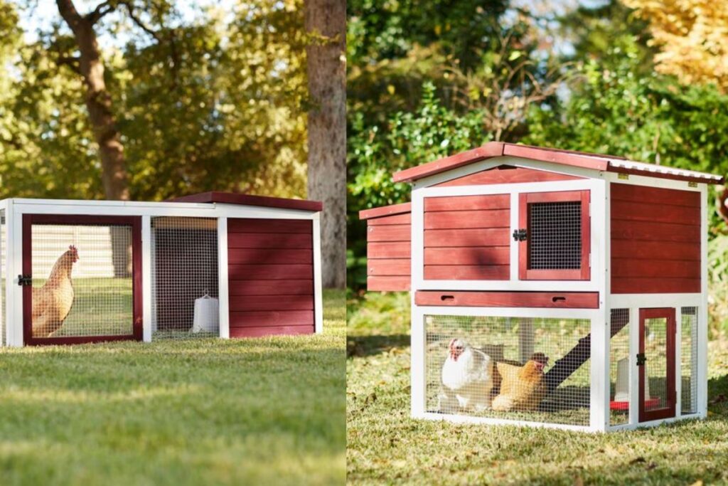 How to Build a Chicken Coop Starter Kit with Chewy's Top Picks