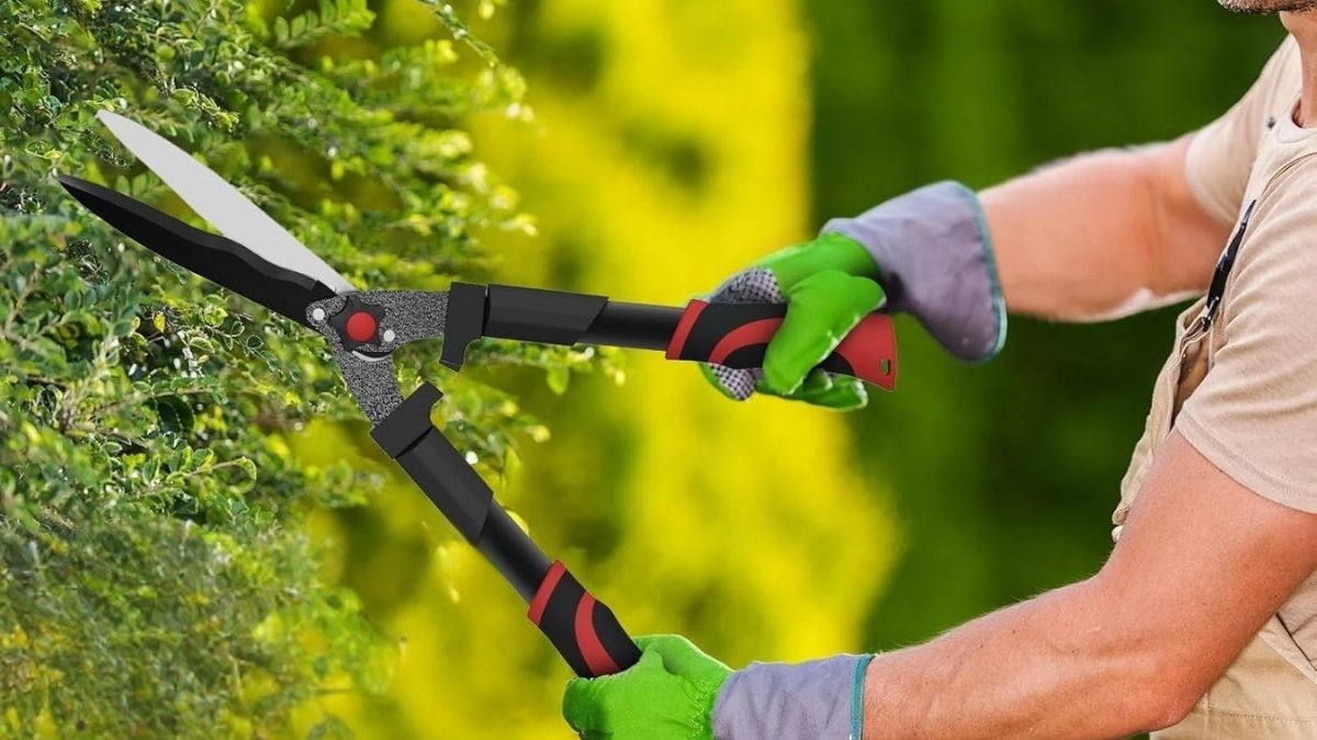 Are GARTOL 23-Inch Hedge Shears the Smart Budget Upgrade for Your Garden
